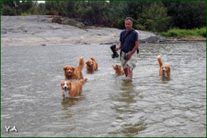 Roger and all the dogs